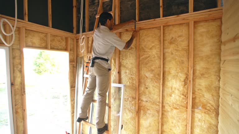 Best Insulation for Existing Homes  in Kersey, CO